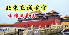 欧美精品破处大片掰开特写中国北京-东城古宫旅游风景区